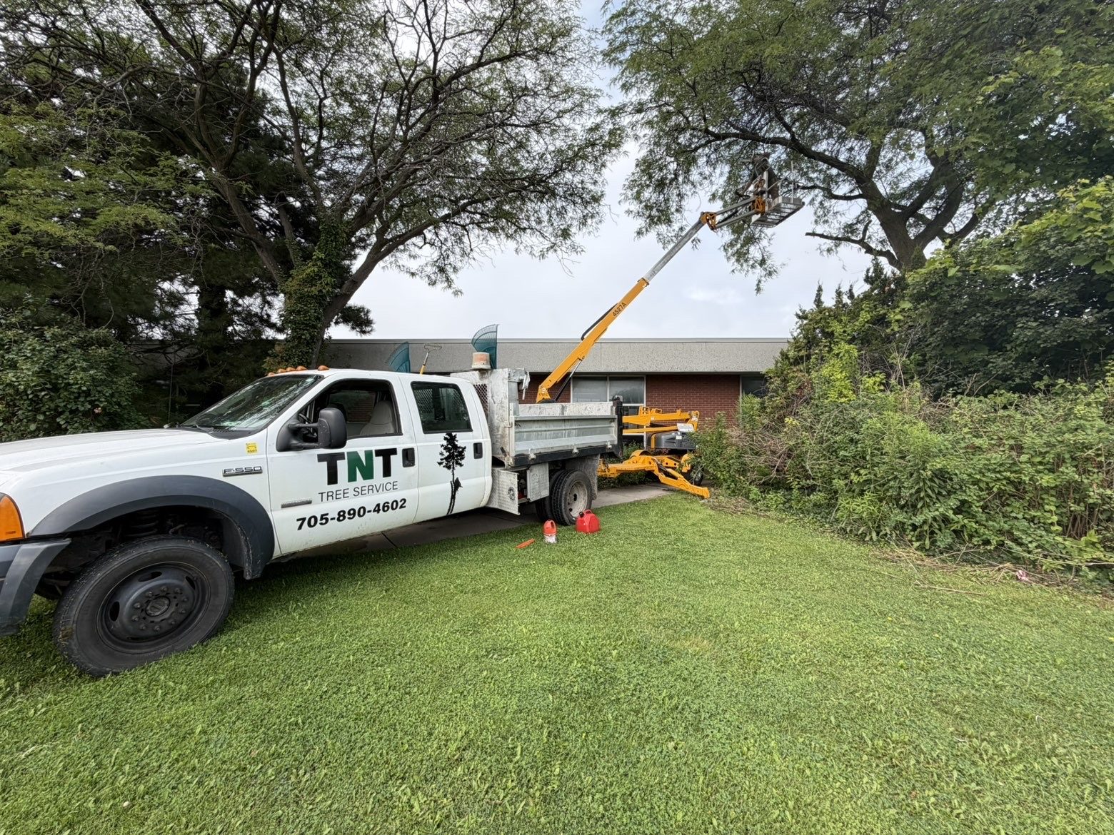 TNT Tree Service bucket truck on a lawn