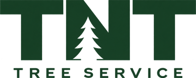 TNT Tree Service