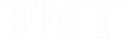 TNT Tree Service